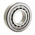 Fafnir Cylindrical Roller Bearings, Crb  12-24 Od Timken Single Row NU236EM